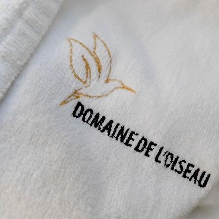 Bed and Breakfast Domaine De L'Oiseau Gergy Esterno foto