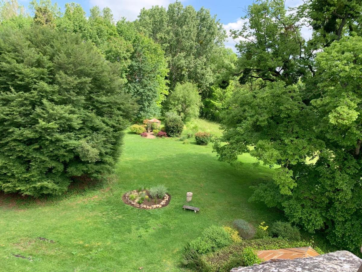 Bed and Breakfast Domaine De L'Oiseau Gergy Esterno foto