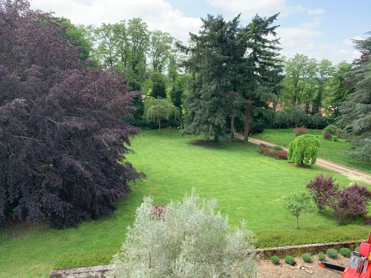 Bed and Breakfast Domaine De L'Oiseau Gergy Esterno foto