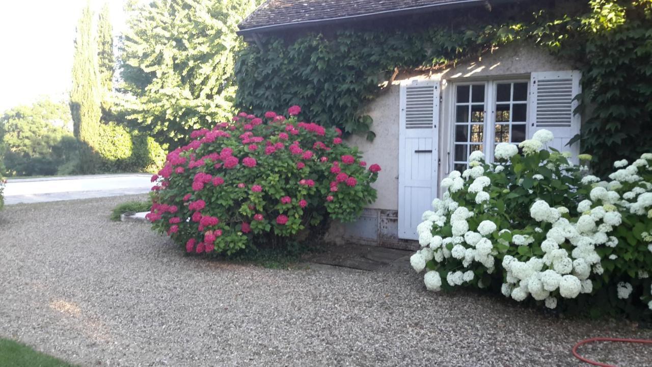 Bed and Breakfast Domaine De L'Oiseau Gergy Esterno foto